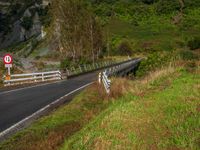 New Zealand's Mountain Landscape: Asphalt Bridge View