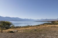 New Zealand Mountain Lake under Clear Sky