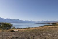 New Zealand Mountain Lake under Clear Sky