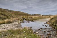 New Zealand Mountain Road: Grass and River Bank