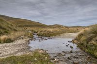 New Zealand Mountain Road: Grass and River Bank