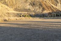 New Zealand Mountain Road Landscape