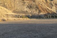 New Zealand Mountain Road Landscape