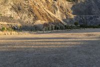 New Zealand Mountain Road Landscape