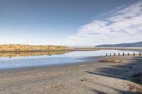 Nature of New Zealand: A Day by the Sea Shore