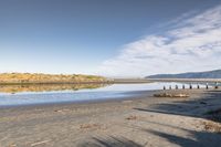 Nature of New Zealand: A Day by the Sea Shore