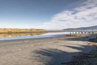 Nature of New Zealand: A Day by the Sea Shore