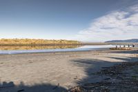 Nature of New Zealand: A Day by the Sea Shore