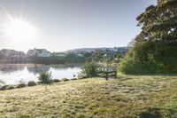 a park bench sits next to a lake on a sunny day with houses in the background