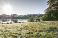 a park bench sits next to a lake on a sunny day with houses in the background