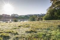 a park bench sits next to a lake on a sunny day with houses in the background