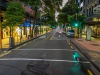 a lone street at night, the green traffic lights are lit up at the intersection