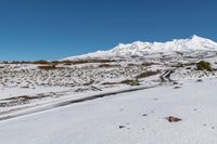 New Zealand North Island Landscape 001