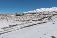 New Zealand North Island Landscape