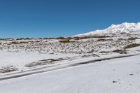 New Zealand North Island Landscape 004