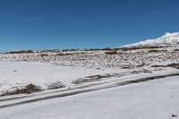 New Zealand North Island Landscape 006