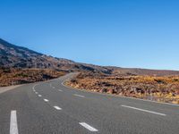 New Zealand's North Island: Mountain Road Adventure