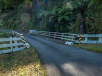 New Zealand's North Island Road: A Day Among Mountain Shadows