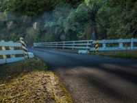 New Zealand's North Island Road: A Day Among Mountain Shadows