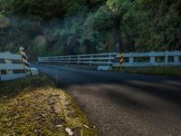 New Zealand's North Island Road: A Day Among Mountain Shadows