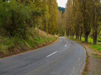 a street lined with lots of trees and bushes next to a field of green grass