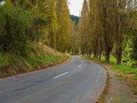 a street lined with lots of trees and bushes next to a field of green grass