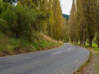 a street lined with lots of trees and bushes next to a field of green grass