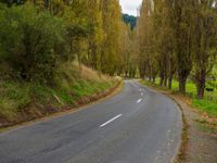 a street lined with lots of trees and bushes next to a field of green grass