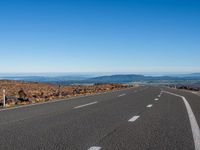 New Zealand's North Island Road Landscape