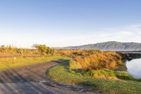 New Zealand Off-Road Track Over Grassy Hills