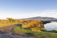 New Zealand Off-Road Track Over Grassy Hills