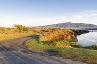 New Zealand Off-Road Track on Grassy Hills