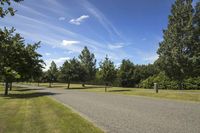 park with trees along side of roadway and grass on both sides of the road area