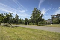 park with trees along side of roadway and grass on both sides of the road area