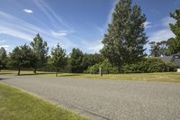 park with trees along side of roadway and grass on both sides of the road area