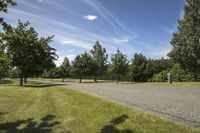 park with trees along side of roadway and grass on both sides of the road area