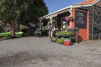 New Zealand Residential Building in Rural Town