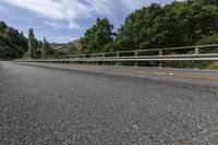 New Zealand Road through Forest Landscape 001