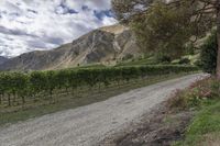 New Zealand Road: Winding Through Low Hills and Mountain Landscapes