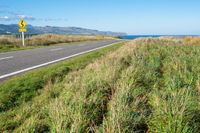 a view of a country road running along a cliff with green grass and plants on either side