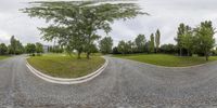 a street with trees, grass and paved sides leading to a park area with benches