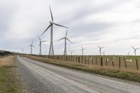 the wind farm is home to hundreds of their farm animals, including cattle and sheep