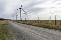 the wind farm is home to hundreds of their farm animals, including cattle and sheep