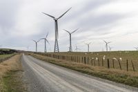 the wind farm is home to hundreds of their farm animals, including cattle and sheep