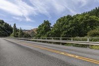 New Zealand Scenic Road through Lush Forest