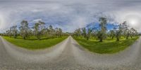 a picture of the road is made up with 360 lens images of trees, grass and grass