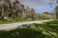 a dirt road in front of many trees and grass areas in an australian country side