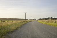 a road in the middle of a rural area, with telephone poles in the distance