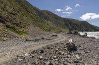 Coastal Landscape of New Zealand under Clear Skies