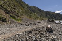 Coastal Landscape of New Zealand under Clear Skies